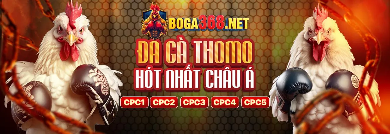 Hình ảnh nền về TDTC Liên Kết Mới